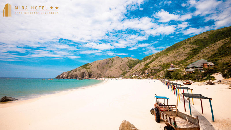 private-tours-quy-nhon-di-choi-tet-tay-chi-tiet-moi-nhat-miraquynhon