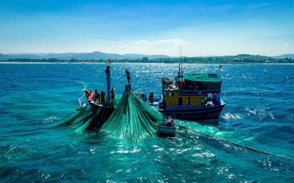 cảnh đánh bắt hải sản